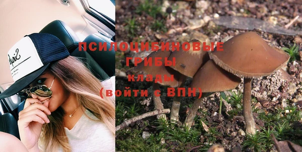 дмт Аркадак